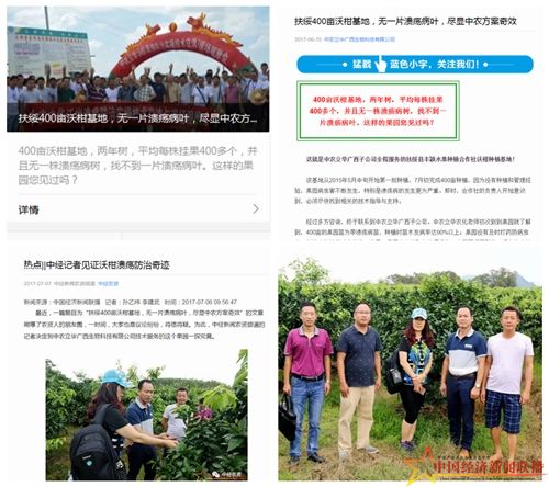 组合5.jpg