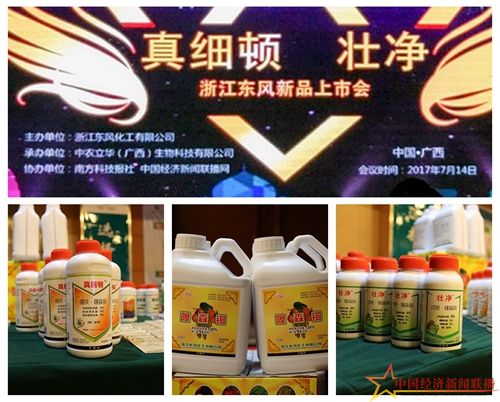 组合1.jpg