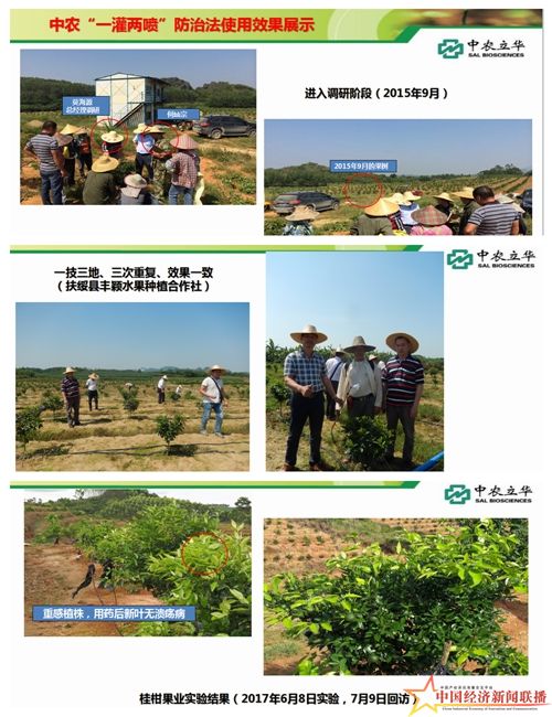 组合6.jpg