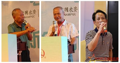 组合4.jpg