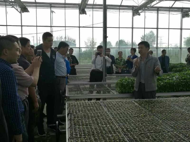 微信图片_20170728145909.jpg