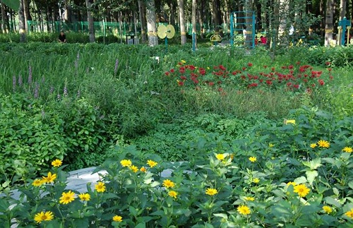 06.jpg