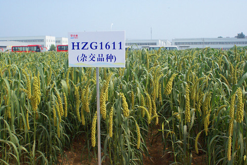 DSC03707_副本.jpg