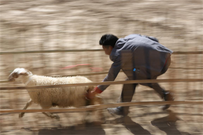 图片17.png