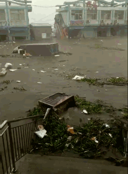 hx8C-fykiuaz0325380.gif