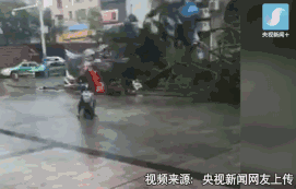 FimW-fykcypq5231619.gif