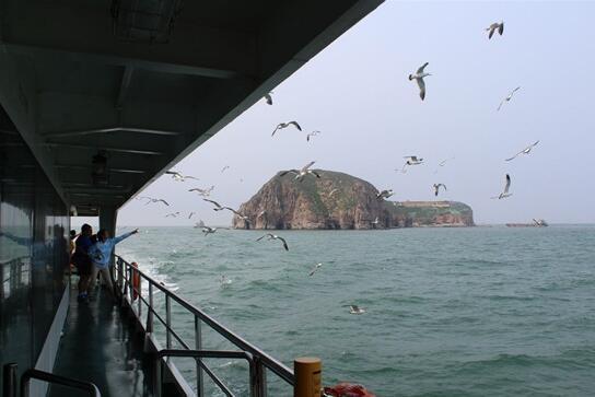04.jpg