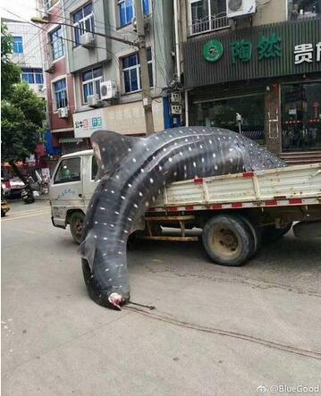 QQ截图20170908122700.jpg