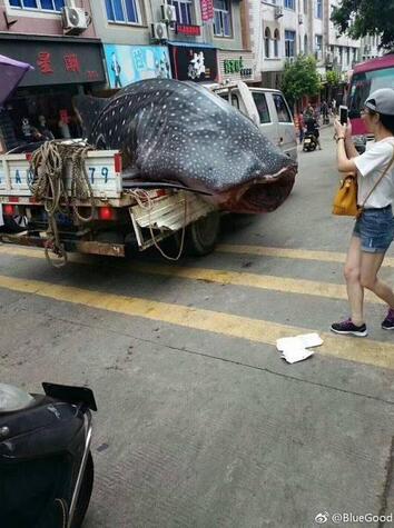 QQ截图20170908122727.jpg