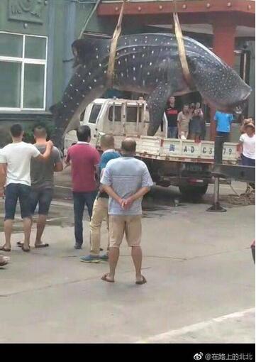 QQ截图20170908122759.jpg