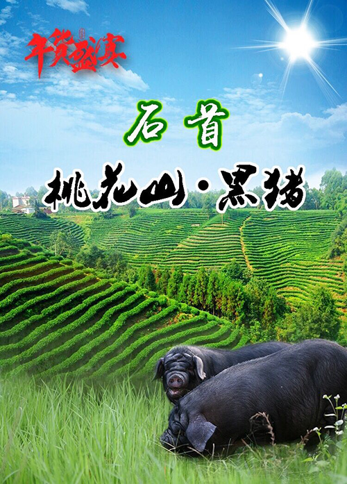 QQ图片20171123100041.jpg