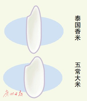 1122165755_15142469756511n.png