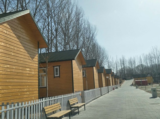 66.jpg