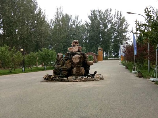 55.jpg