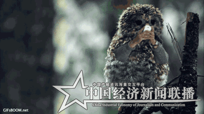 t2cW-fyrswmu5824192.gif