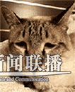 _Lq--fyrswmu5824344.gif