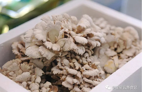 06.png