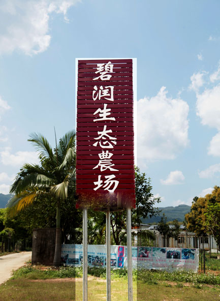 66.jpg