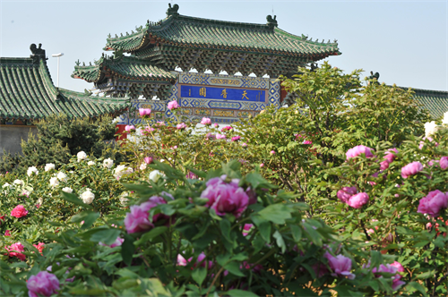 图片3.png