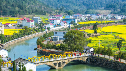 江山村正文图._副本.jpg