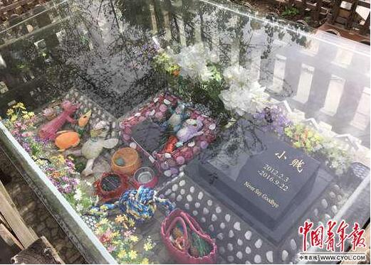 QQ截图20180516083723.jpg