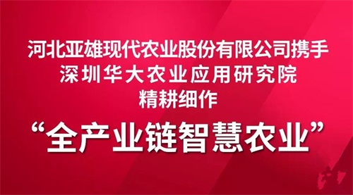 111.webp_副本.jpg
