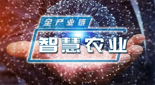 222.webp_副本.jpg