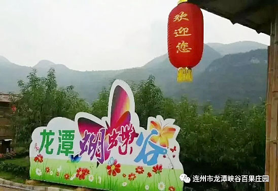 555.jpg