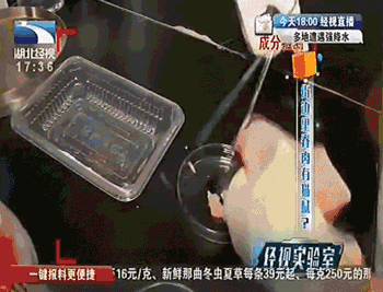 5.gif