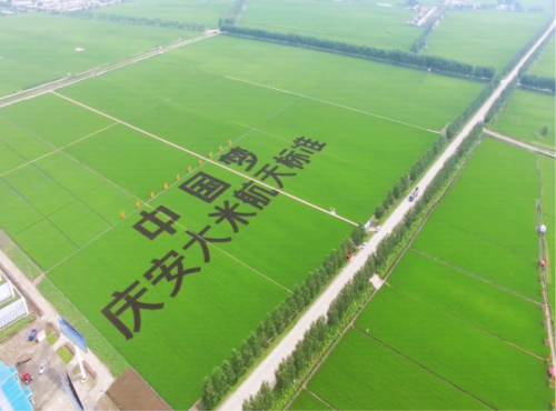 庆3.png