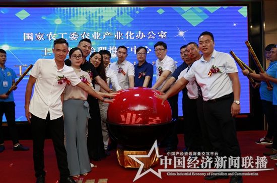 启动球仪式.jpg