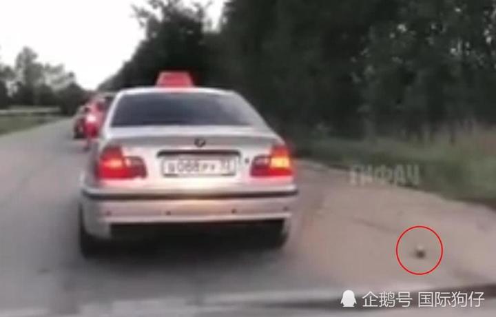 乘客在出租车上向窗外乱丢垃圾，结果被司机当“垃圾”丢掉