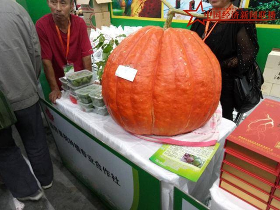 104.jpg