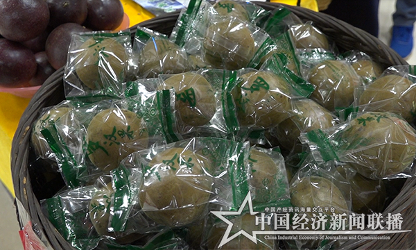 罗汉果.png