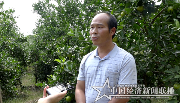 李晓东武鸣县太平镇_副本.png