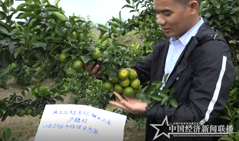 图片14.png