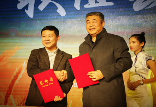 吴6.png