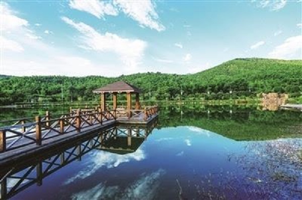 江苏2.jpg