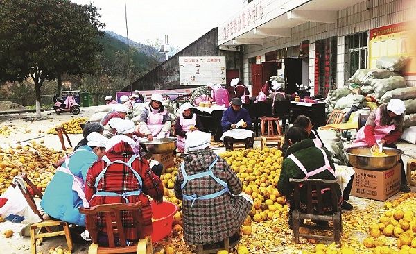 微信图片_20190107103123.jpg