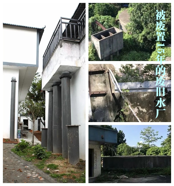123.jpg