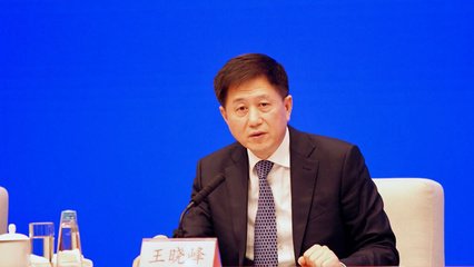 王晓峰.jpg