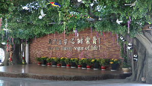 图片2.png