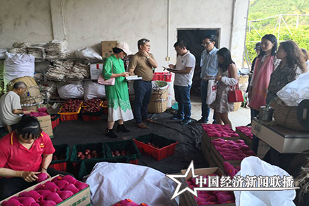 三亚南鹿实业有限公司负责人为调研组介绍产业运作情况及对海南莲雾产业前景进行交流。（项目调研组供图）.png