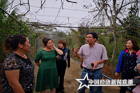 海南热带农业与农村经济研究院柯佑鹏院长指导莲雾种植企业规划产业园区发展方向.png