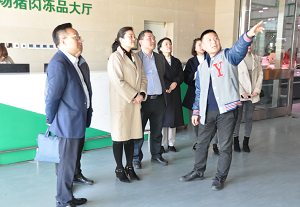 图片12.png