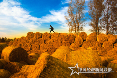 微信图片_20190318104829.png