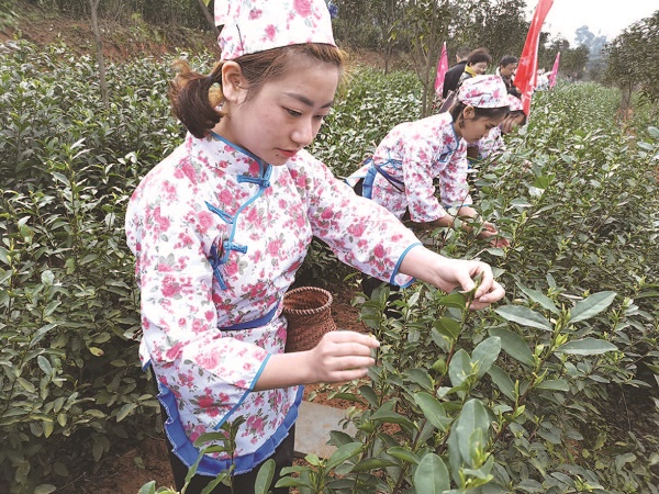 5c8fb285c7f55.jpg