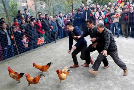 微信图片_20190401171307.jpg