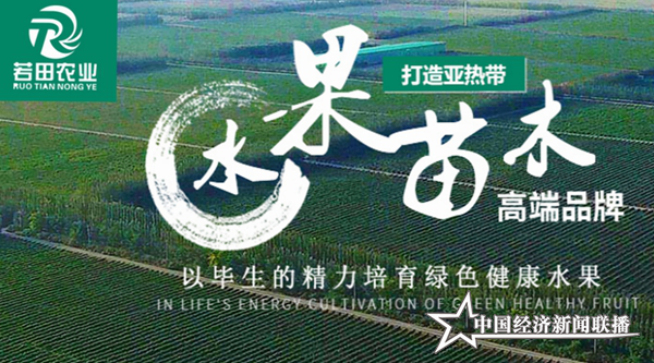 图片10.png