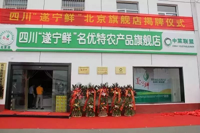 图片2.png